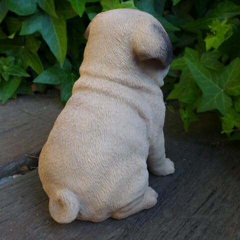 Amazon.co.jp: 犬の置物 パグ いぬ イヌ 動物 T14074